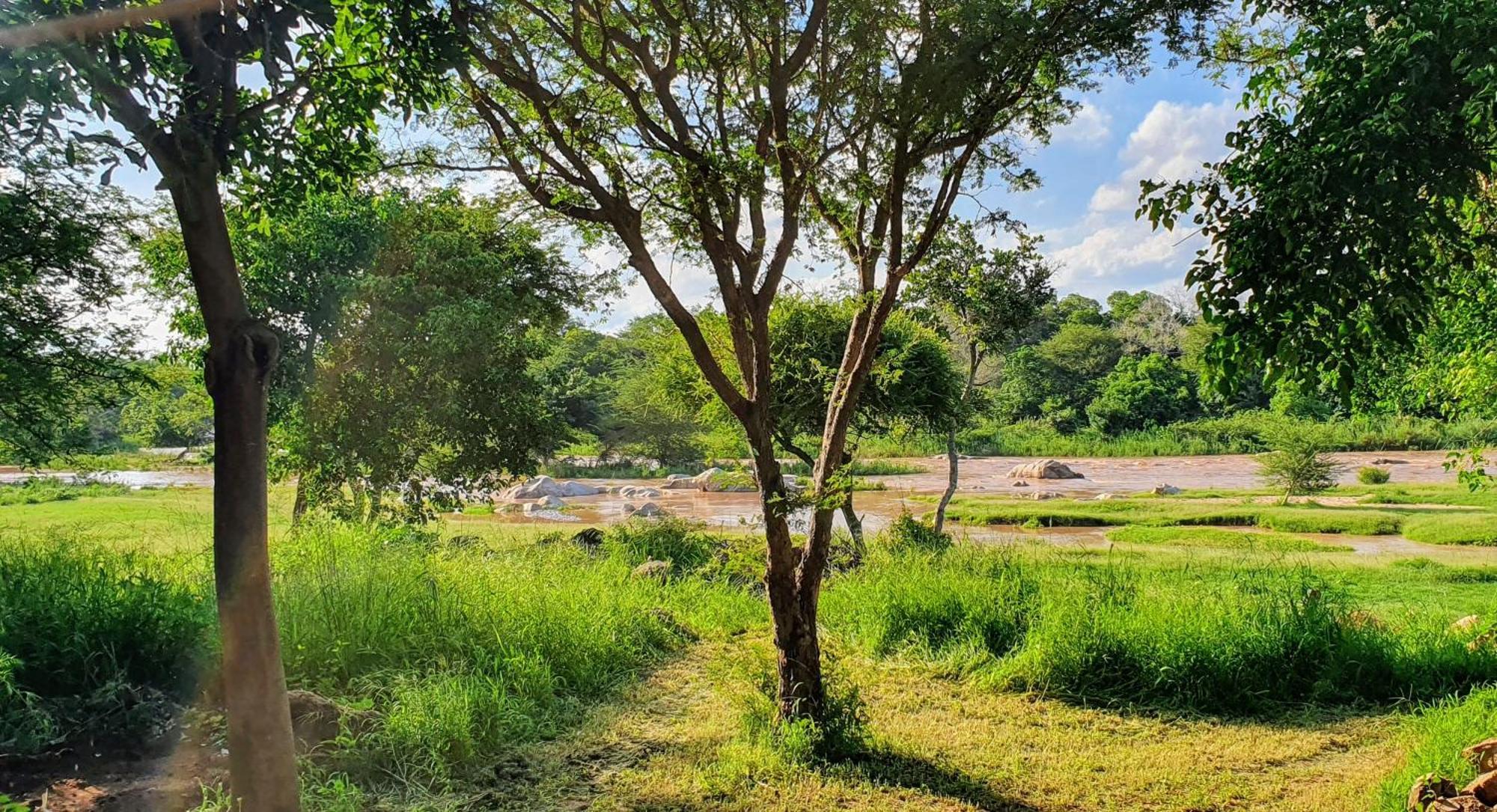 Hasekamp Family Bush Lodge Ходспруит Екстериор снимка